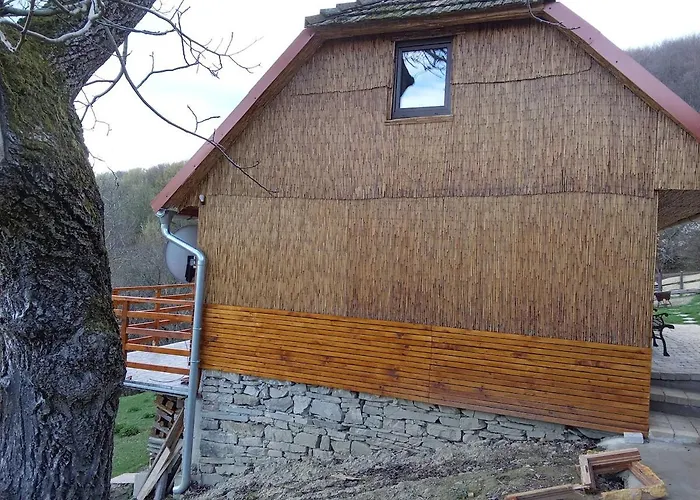 Pavlinka Chvojnica (Myjava)